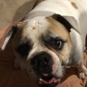 Meet your Posher, Becky